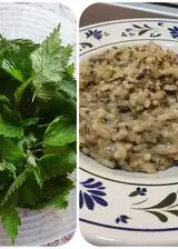 Ricetta Risotto alle ortiche