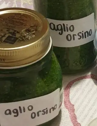 Ricetta Pesto di aglio orsino di silvia276