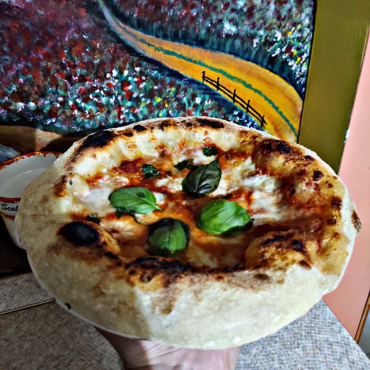 La mia margherita 🌼