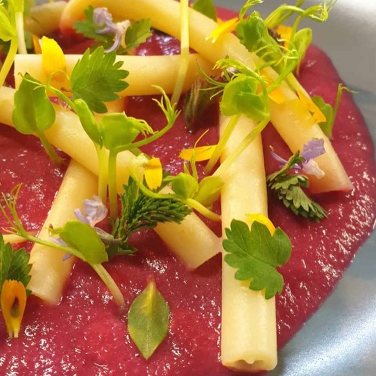 Ziti con barbabietola e gorgonzola