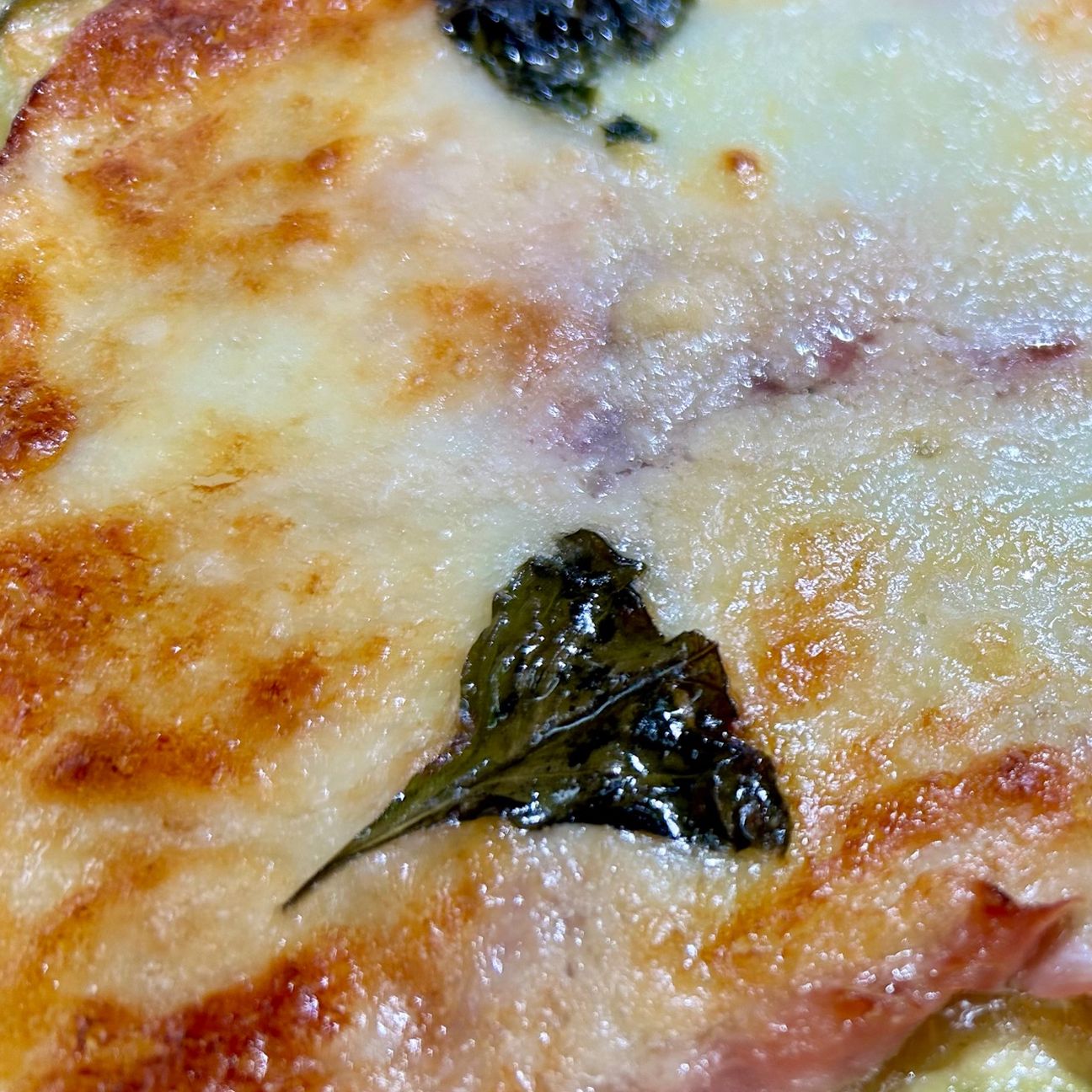 Lasagne di zucchine
