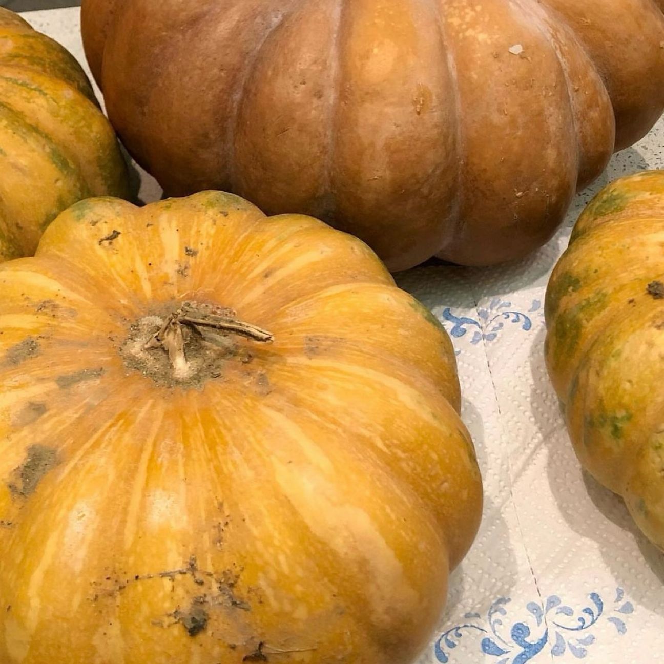 Come ricavare la polpa da una zucca