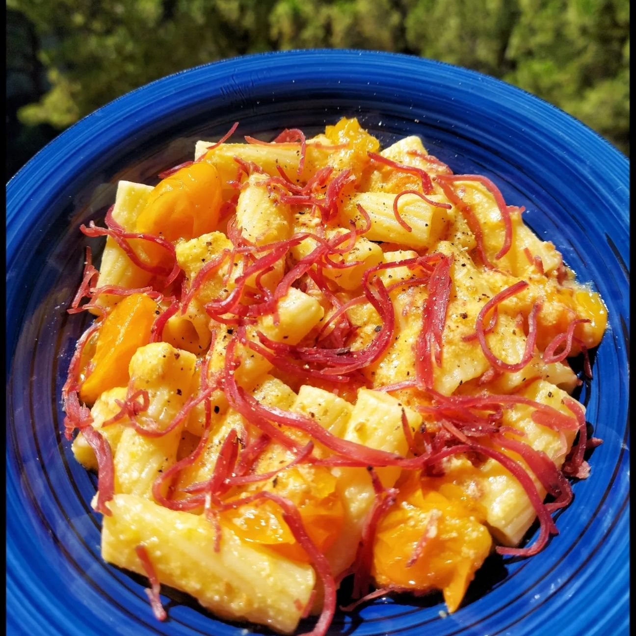 Tortiglioni ai datterini e coriandoli di bresaola