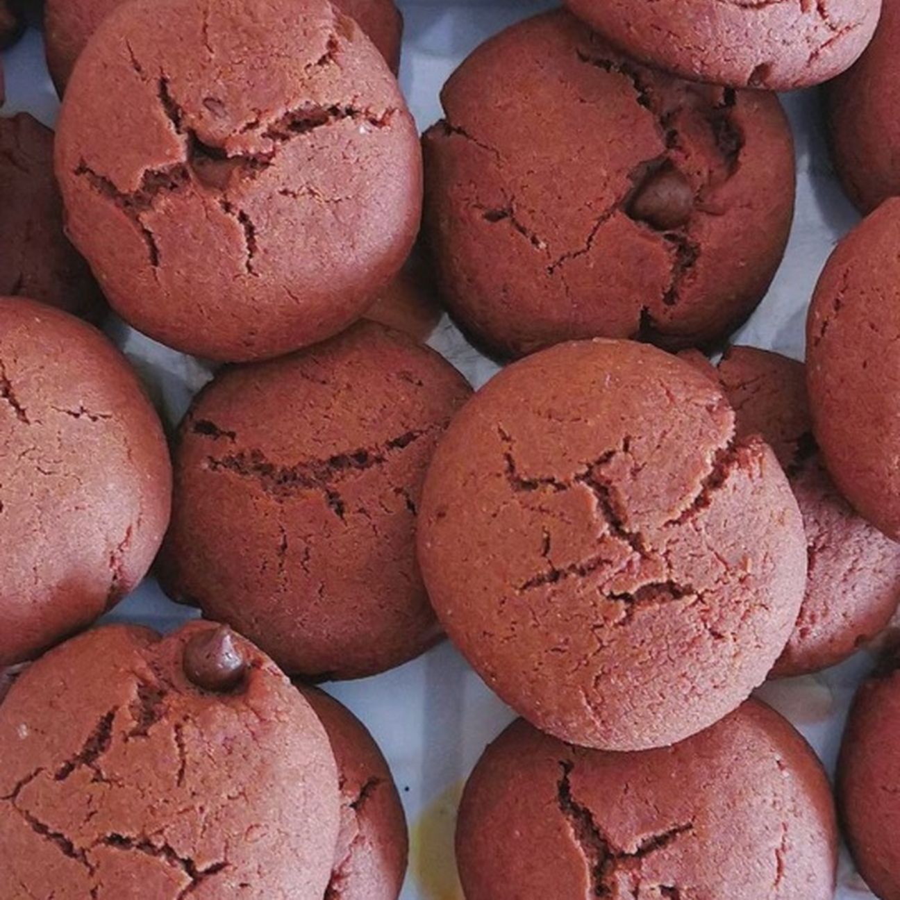 BISCOTTI AL CIOCCOLATO CON GOCCE DI CIOCCOLATO