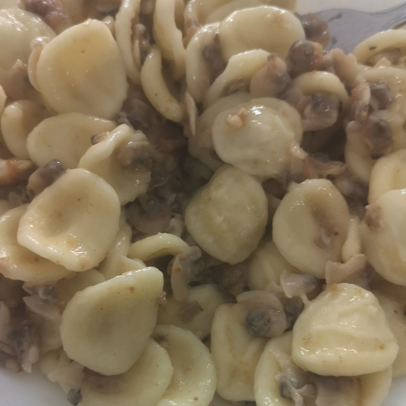 Orecchiette alle vongole