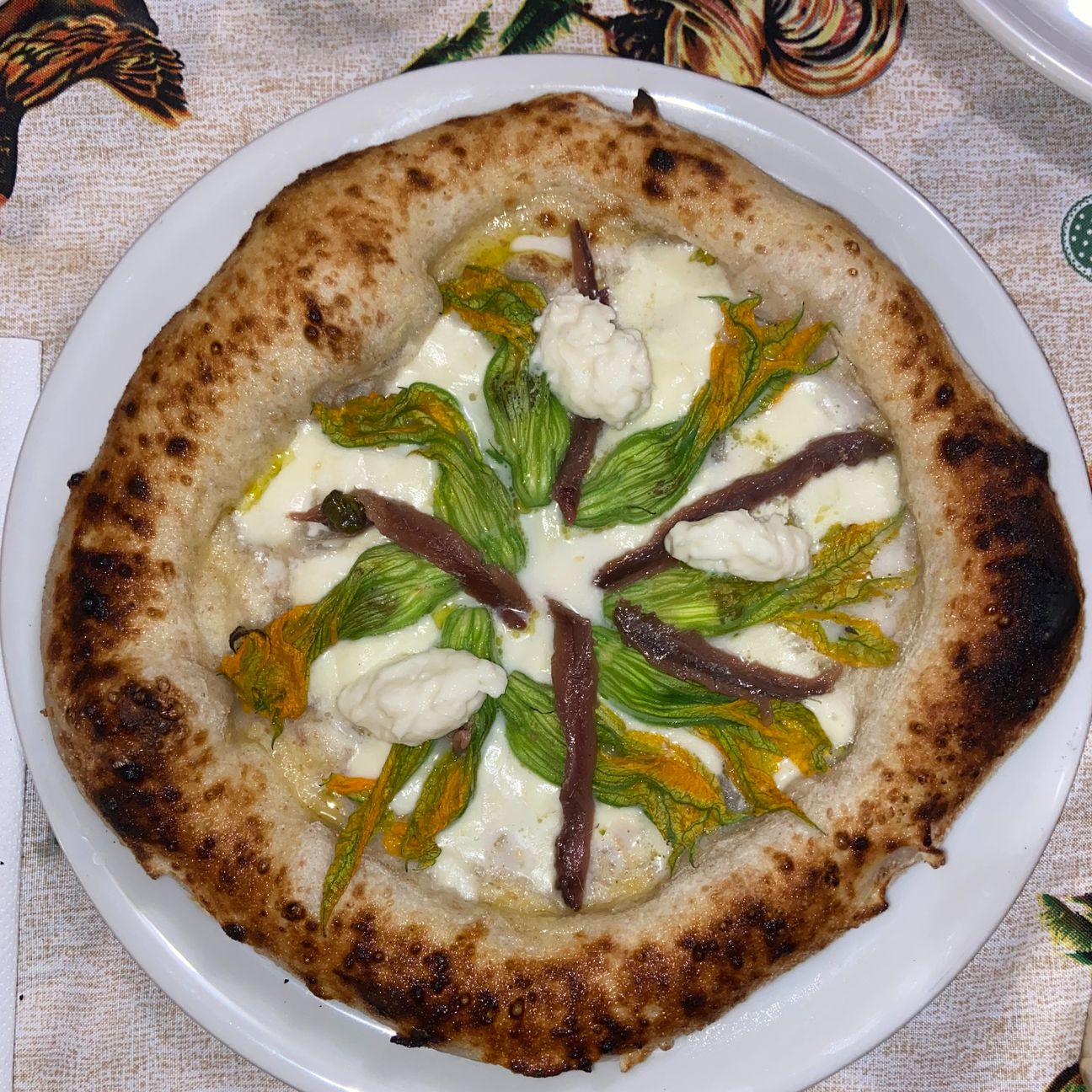 Timida Primavera