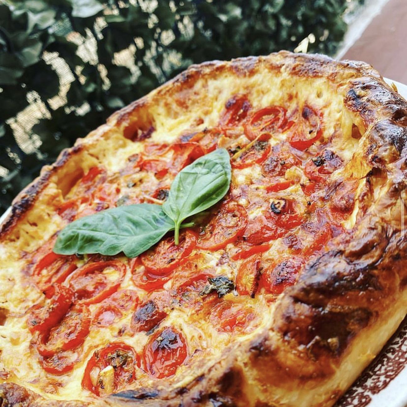 Torta salata