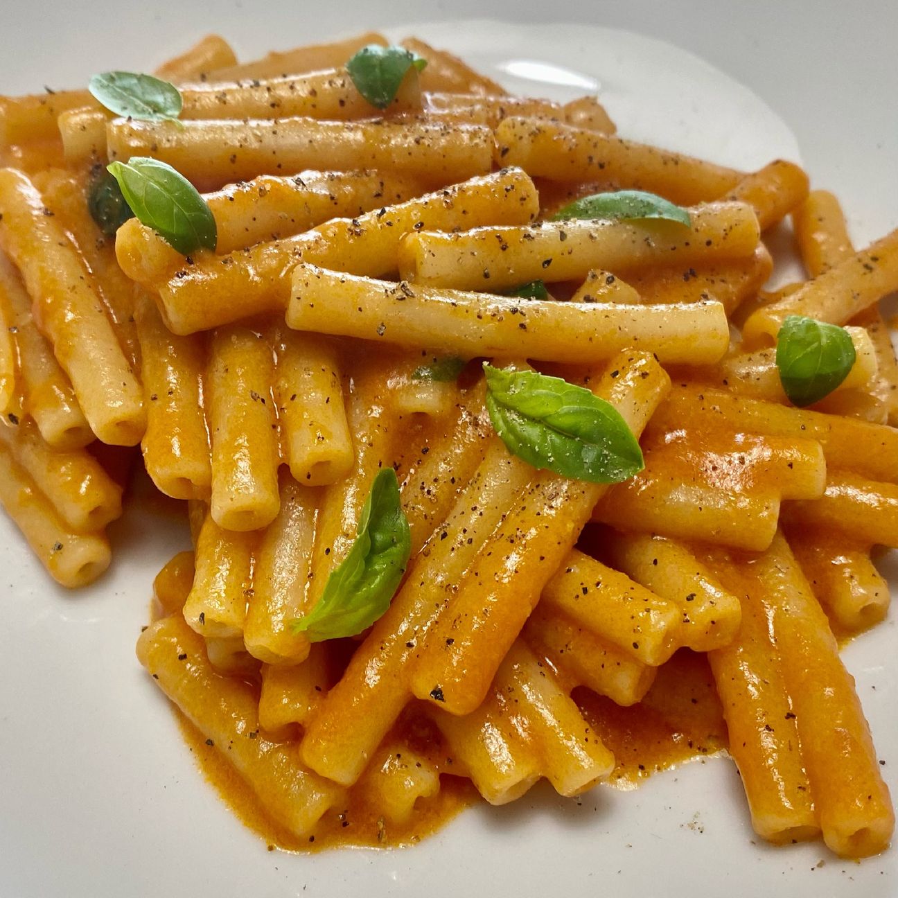 Mezzanelli alla salsa di pelati, pecorino e basilico