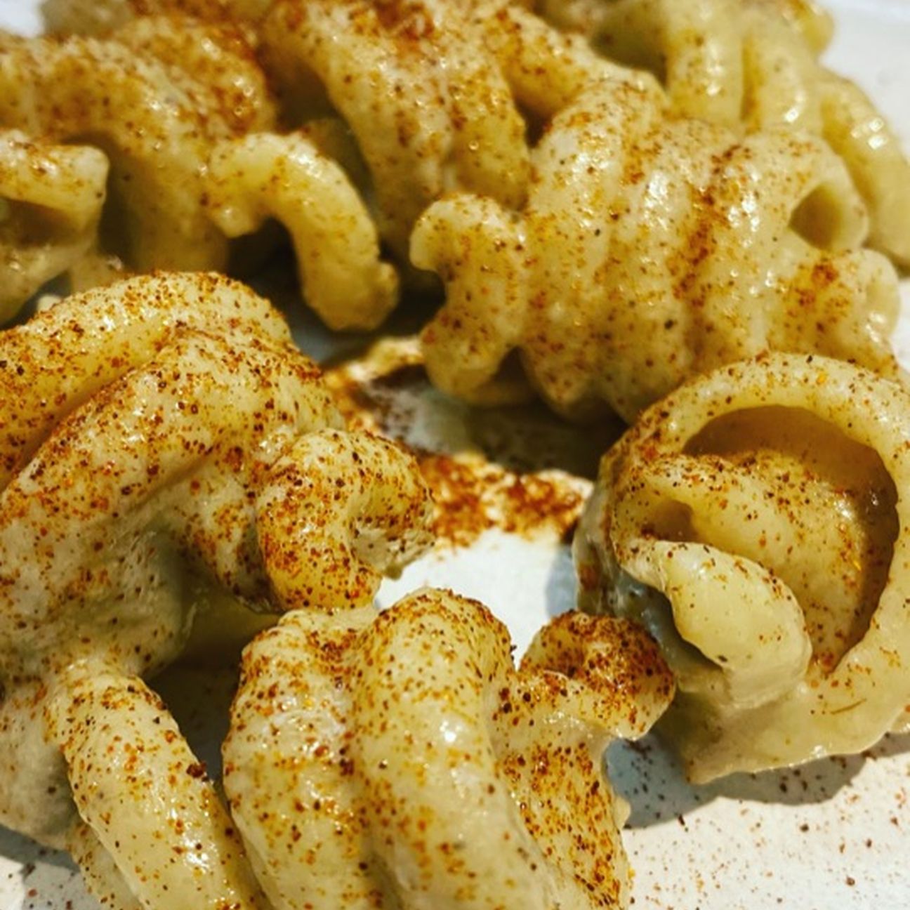 Trottole al pesto di radicchio tardivo e paprika affumicata