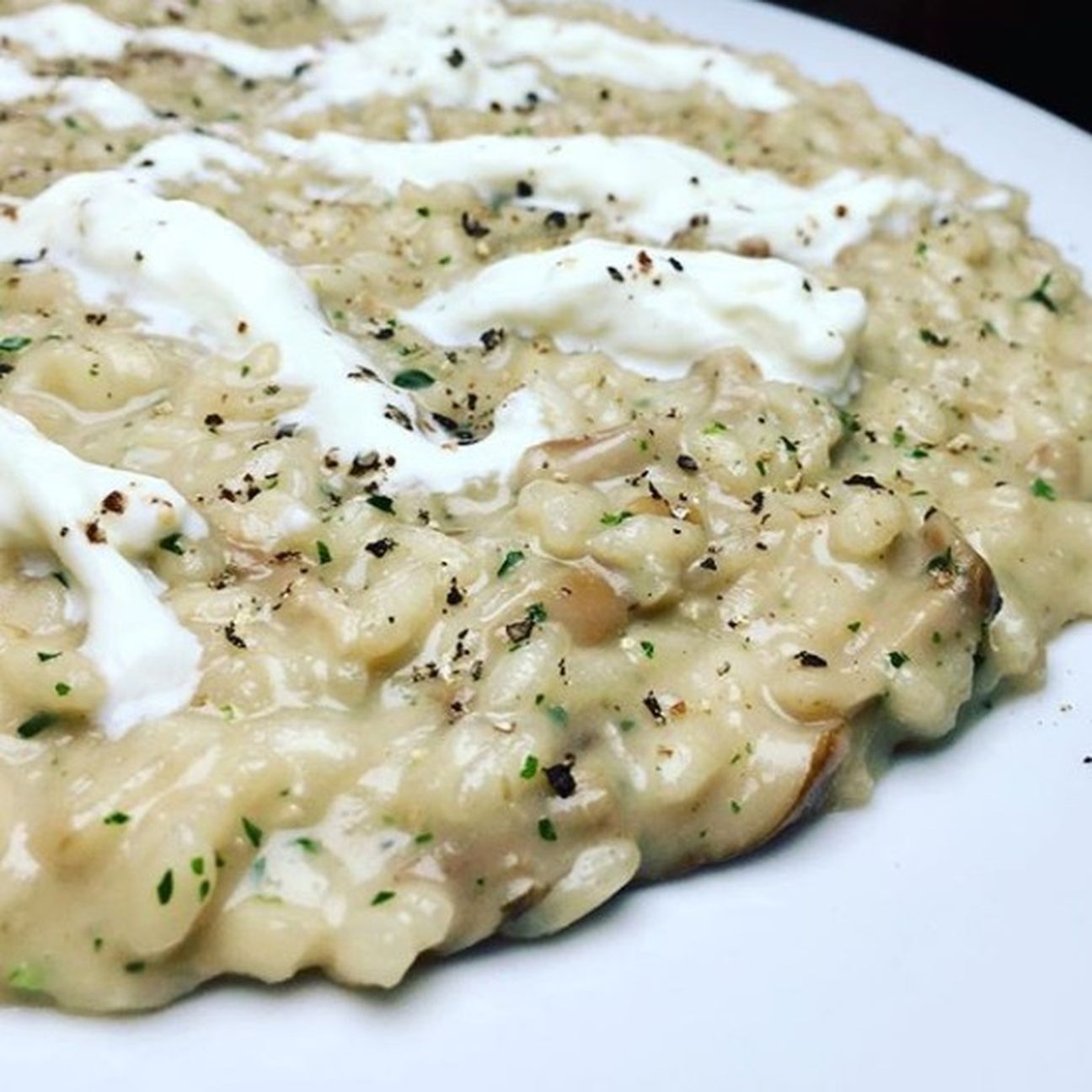 Risotto ai porcini e stracciatella