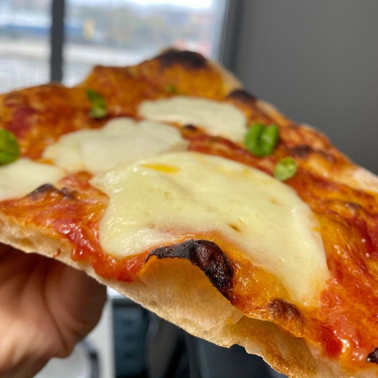 Pizza margherita in teglia alla mozzarella di bufala