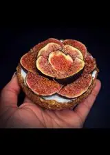 Ricetta Crostatina Ricotta e Fichi