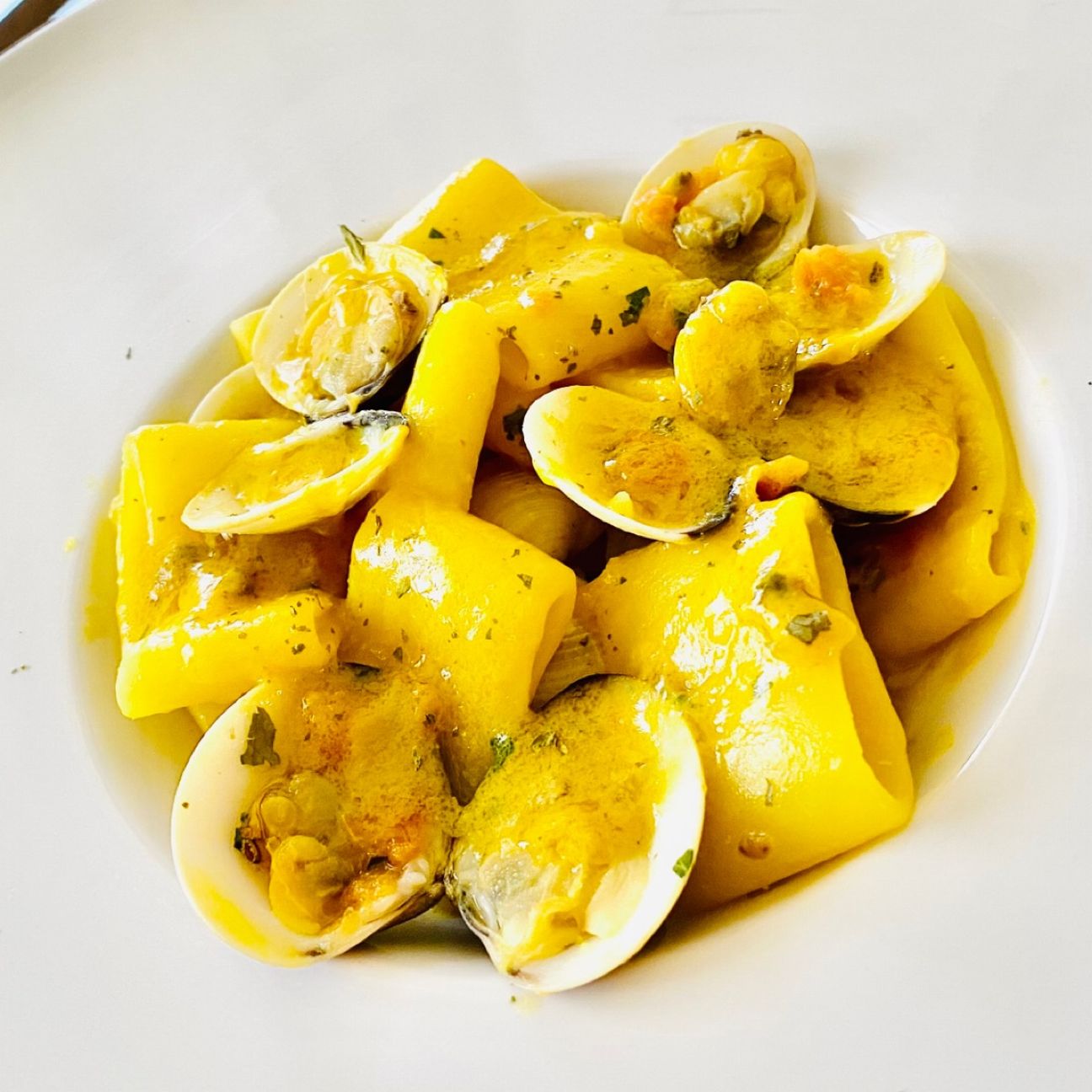 CALAMARATA VONGOLE E ZAFFERANO