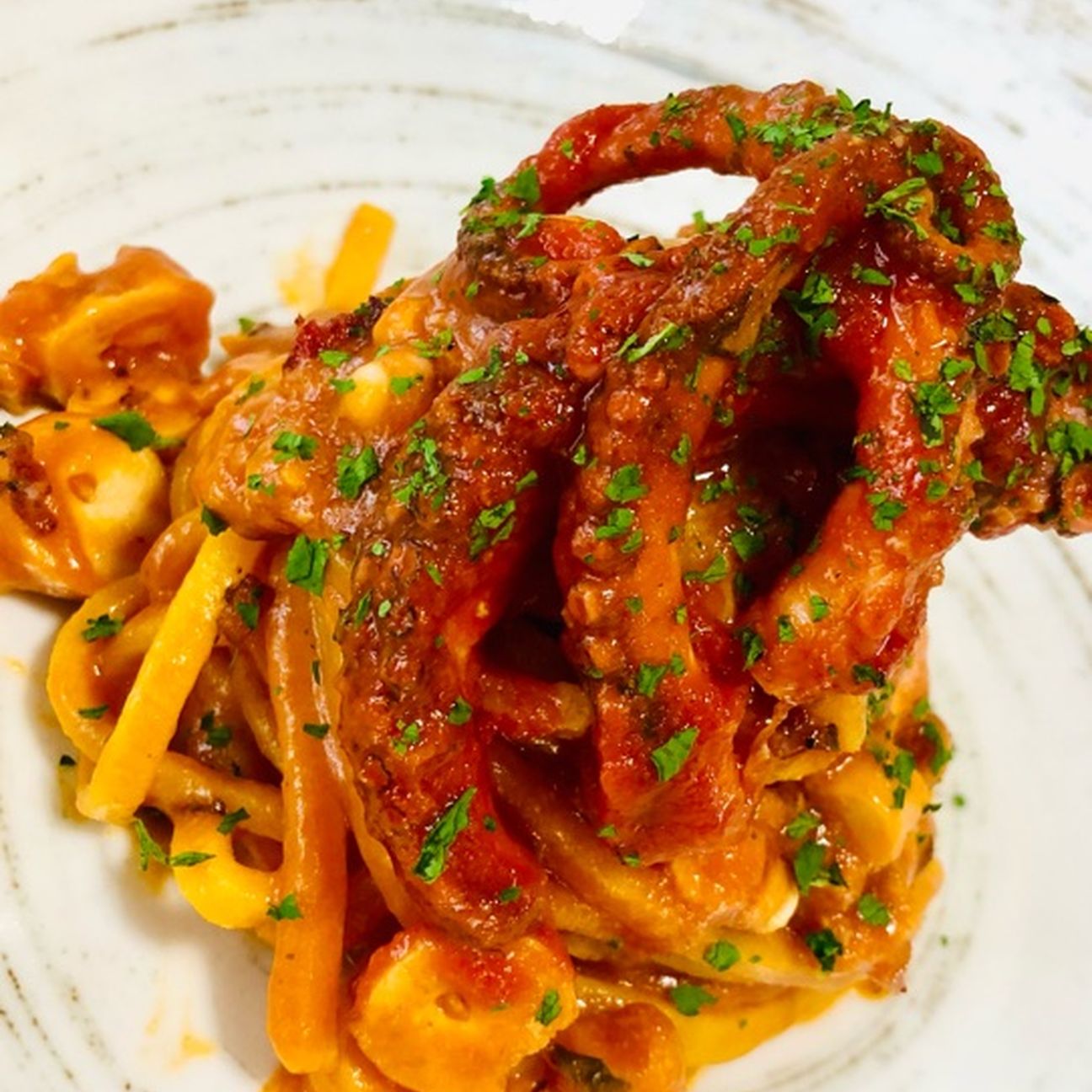 Spaghettone quadrato con sugo al polpo