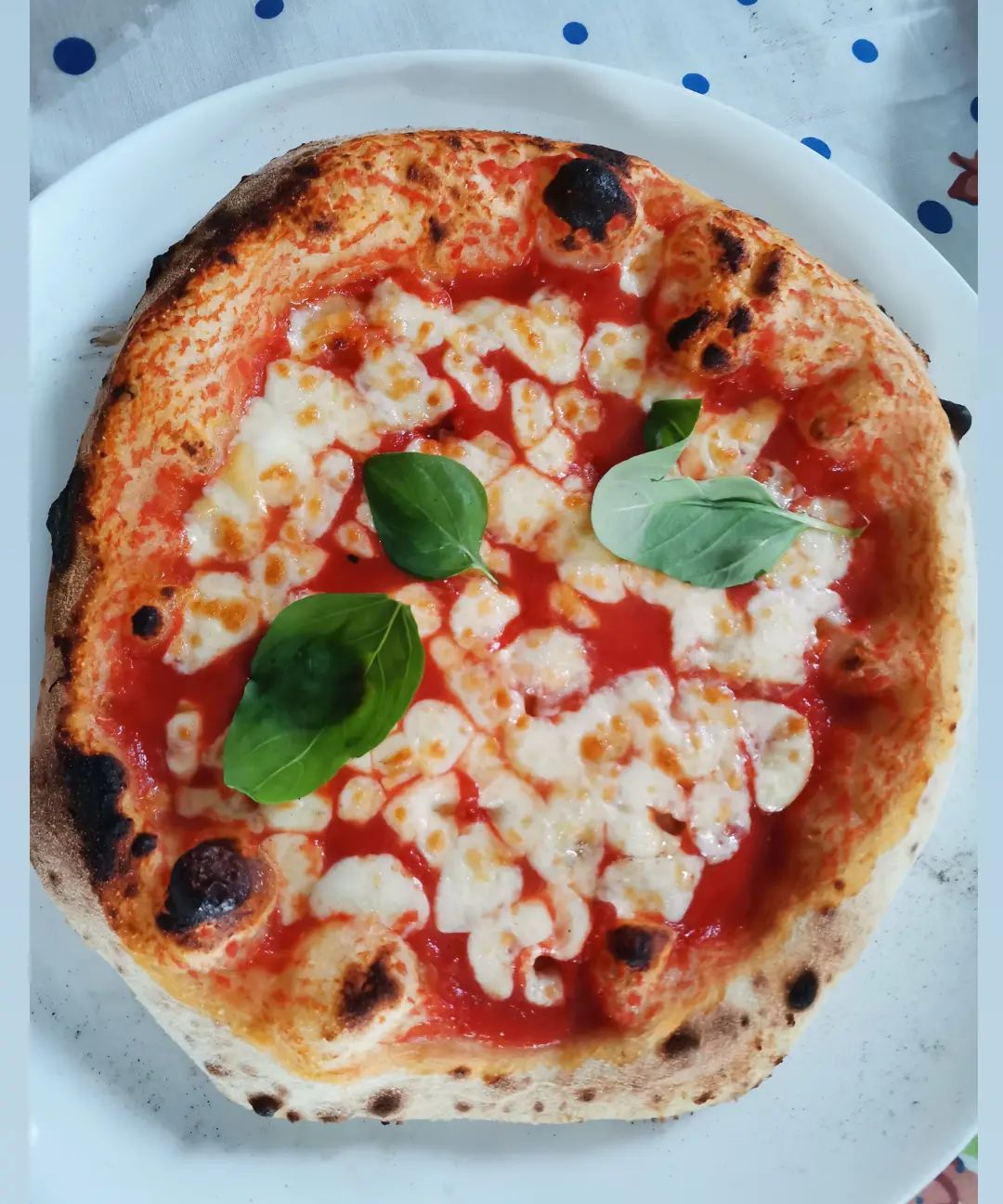 LaPrima