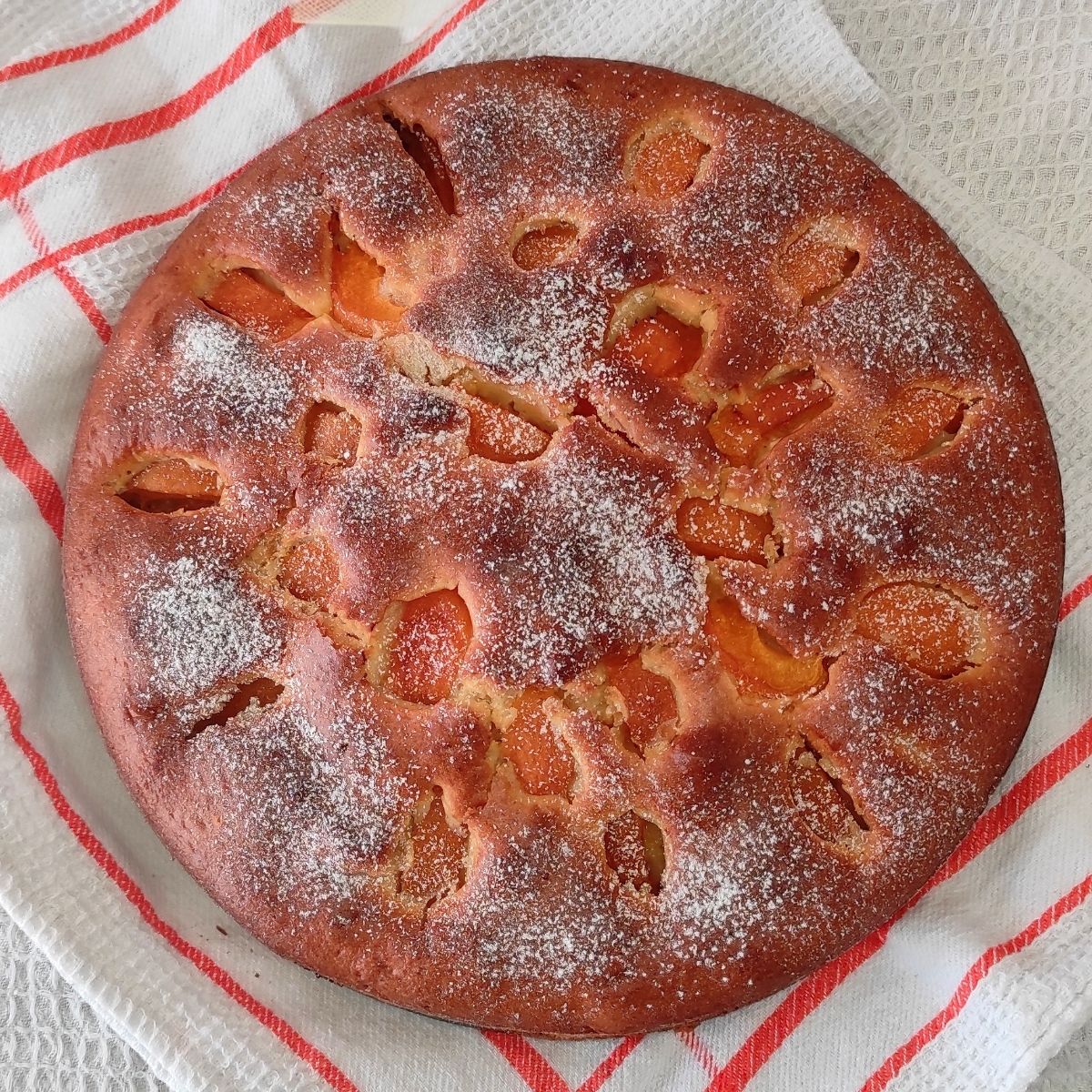 Torta soffice alle albicocche