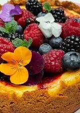 Ricetta Cheesecake allo yogurt e frutti di bosco