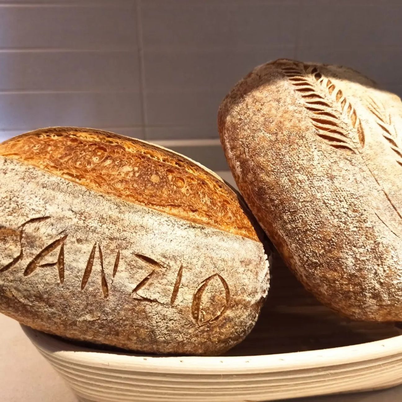Pane di semola