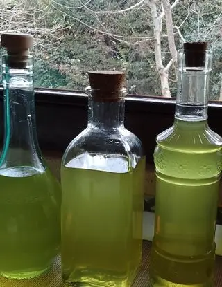 Ricetta Limoncello biologico di andreafood88