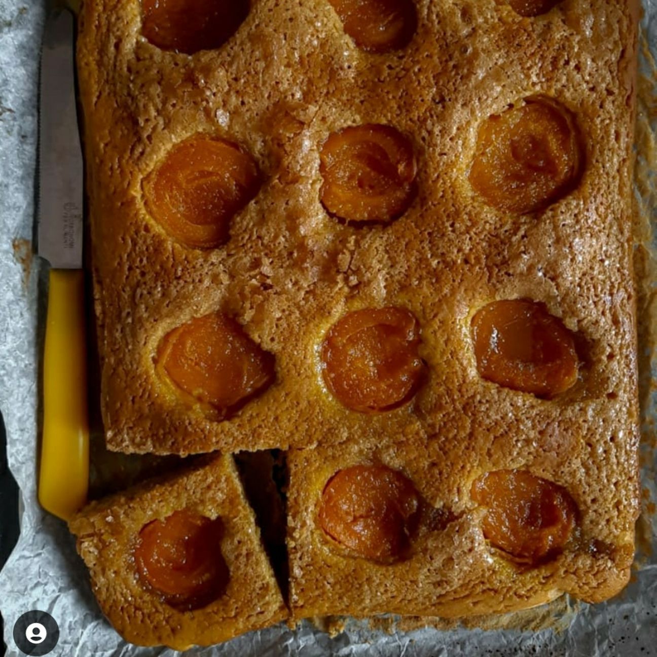 Torta di farro e albicocche