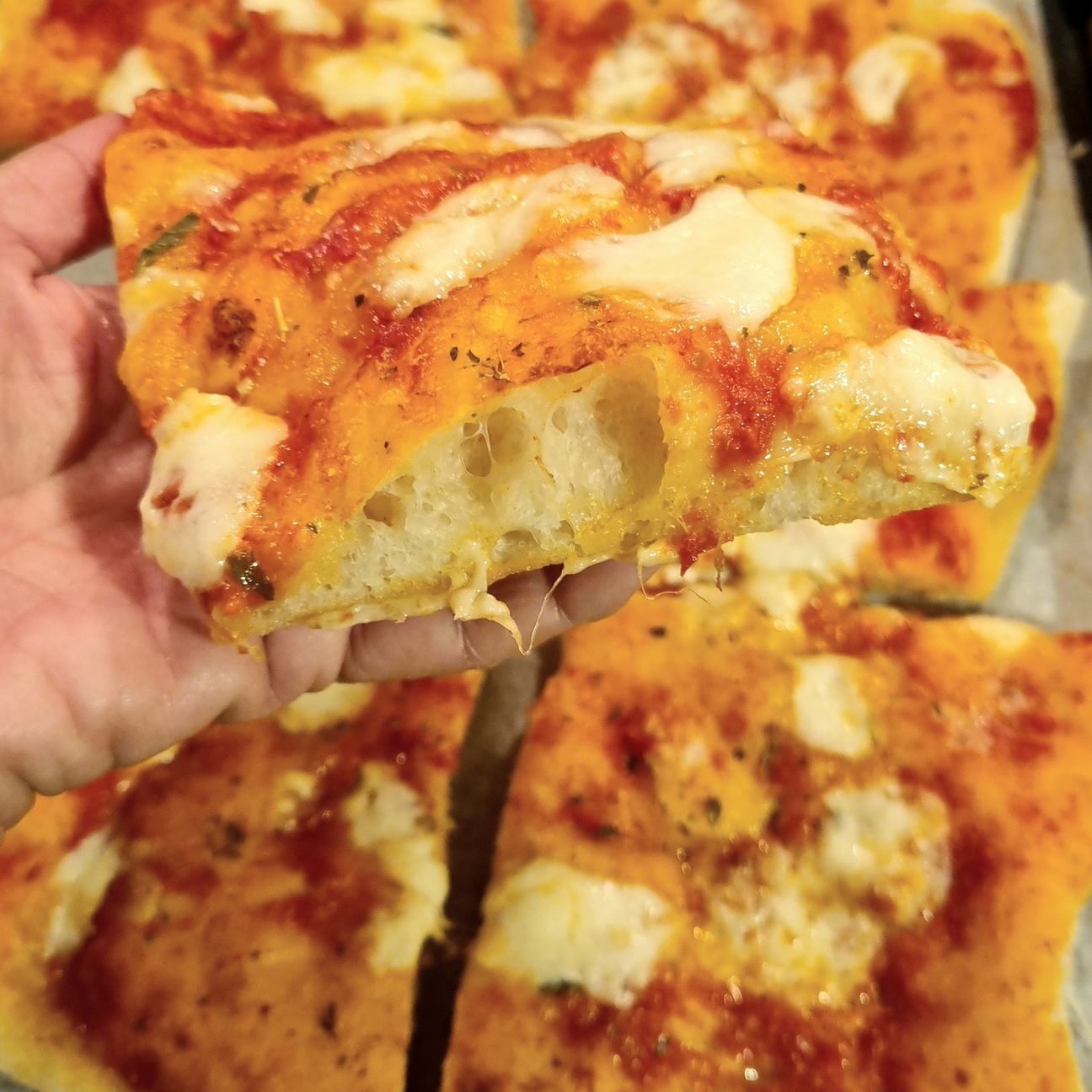 PIZZA IN TEGLIA CON MOZZARELLA SANTA LUCIA