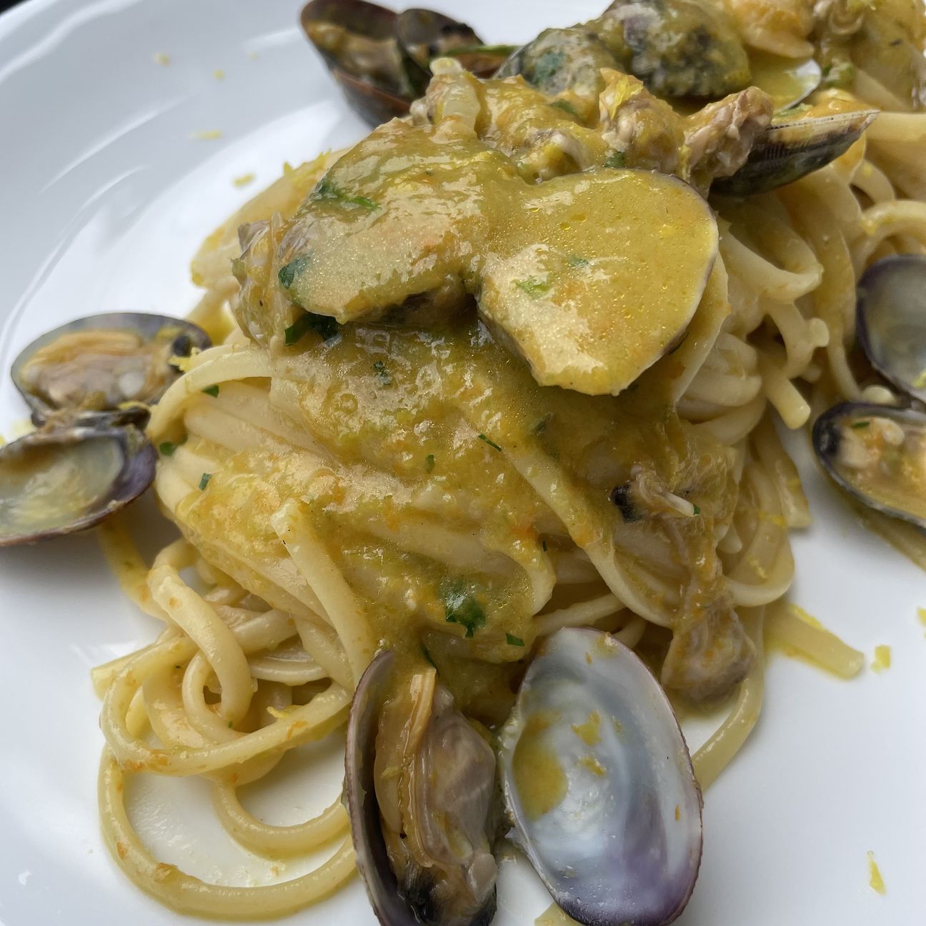 Linguine fiori di zucca e vongole