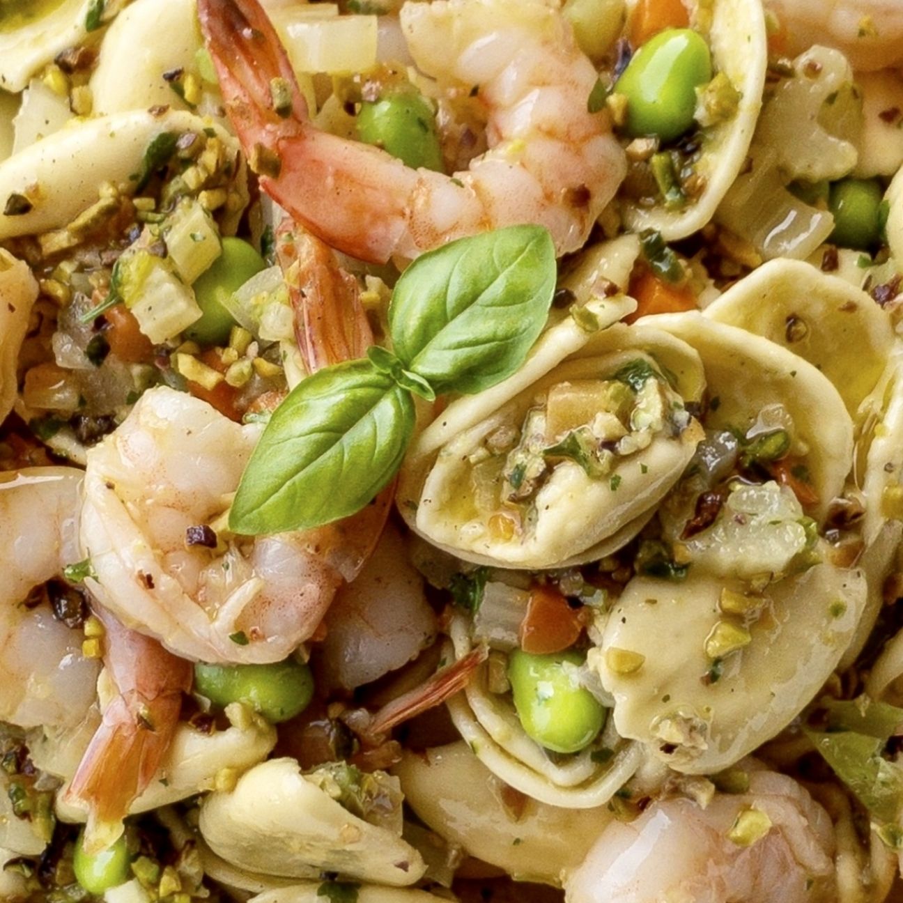 Orecchiette Gamberetti e Pesto