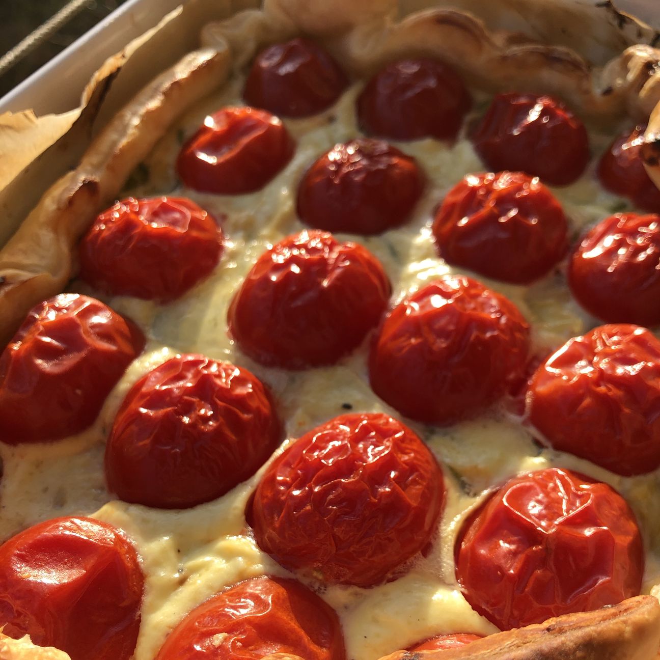Torta di ricotta e pomodorini