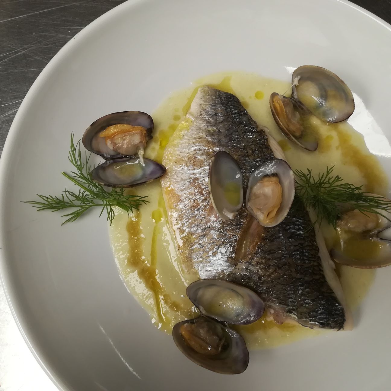 Filetto di orata con vongole e cremoso di finocchio