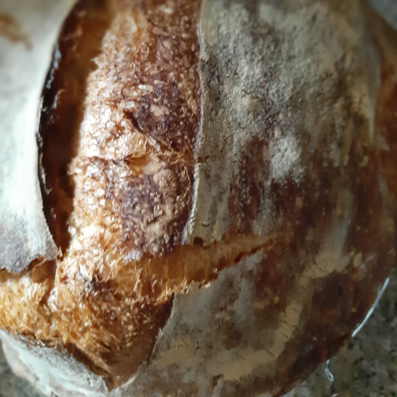 Pane tipo pugliese