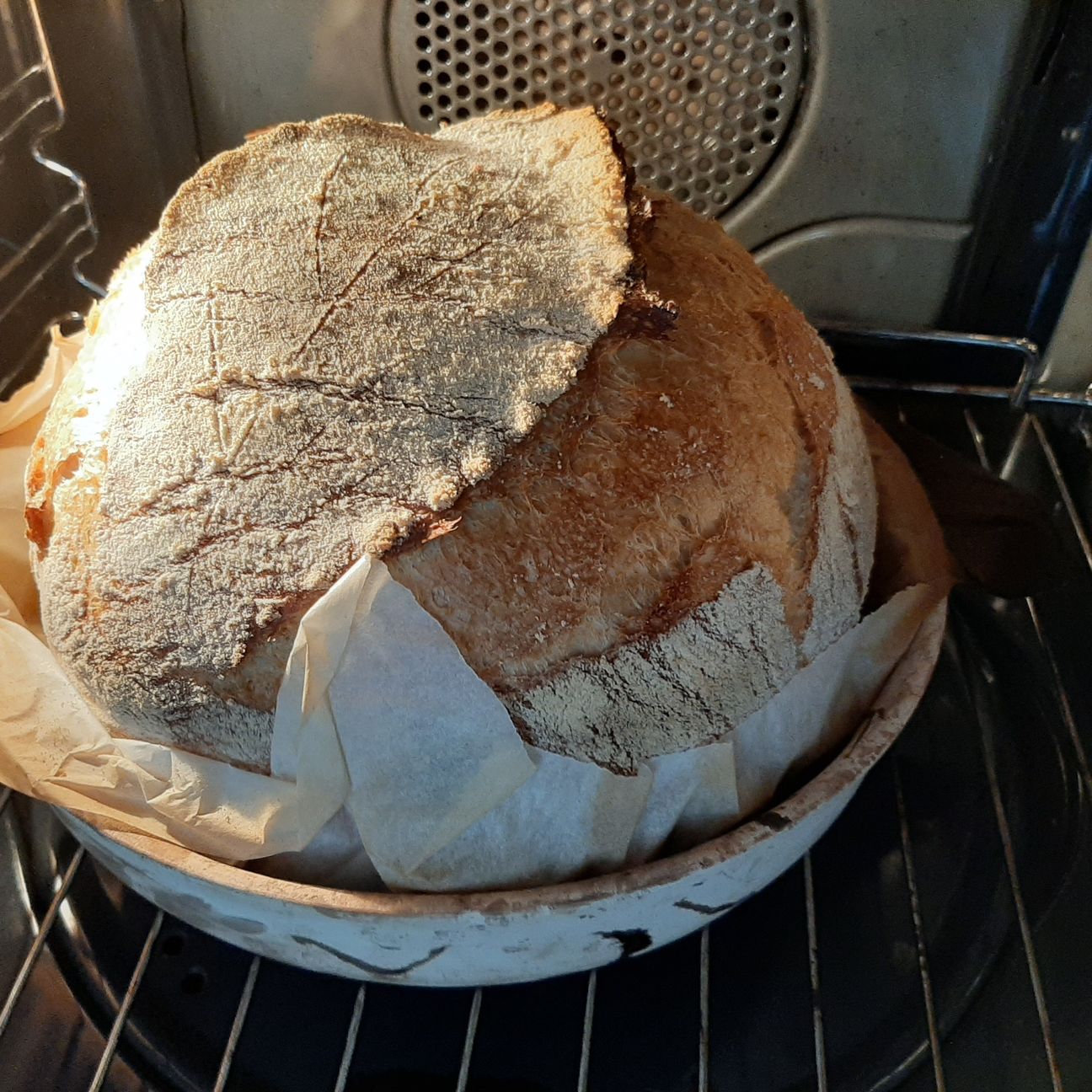 Pagnotta alta idratazione