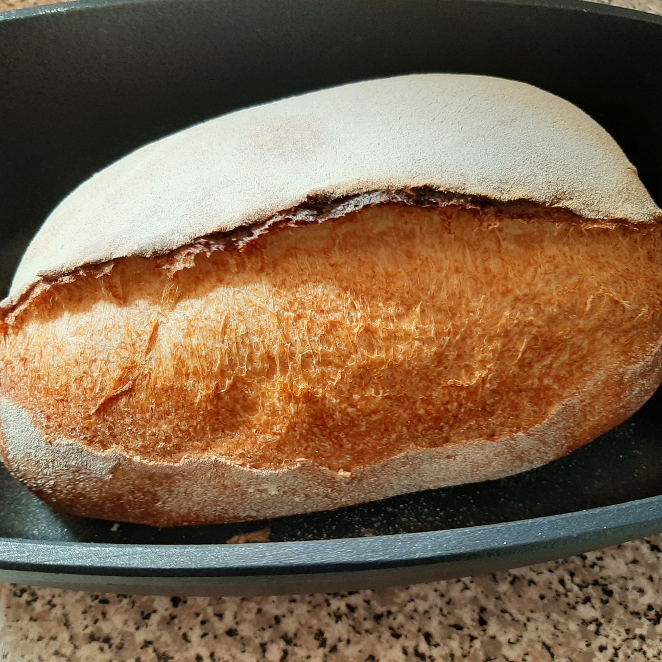 Pane tutta semola rimacinata