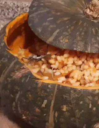 Ricetta Risotto in zucca di luigina