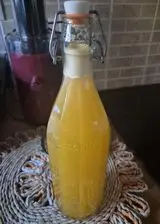 Ricetta Aranciata fatta in casa