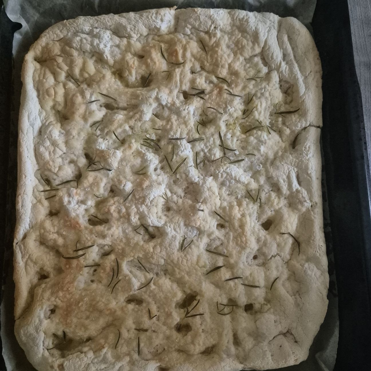 Focaccia gluten free