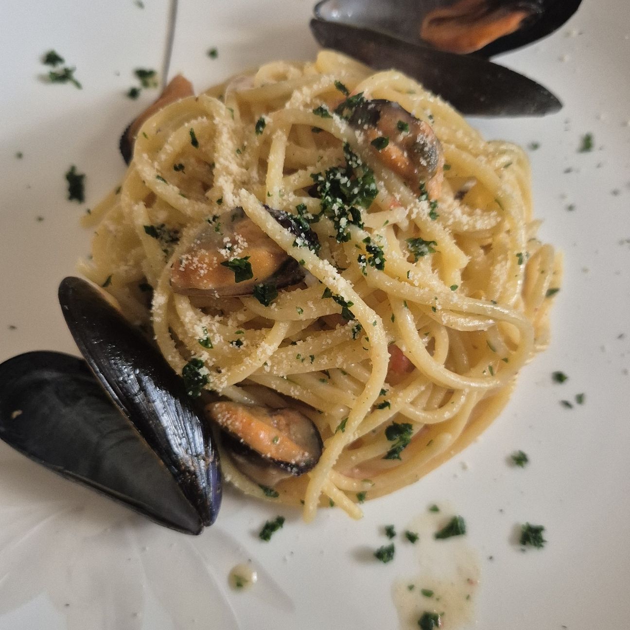 Spaghetti alla chitarra gluten free su vellutata di cannellini e cozze