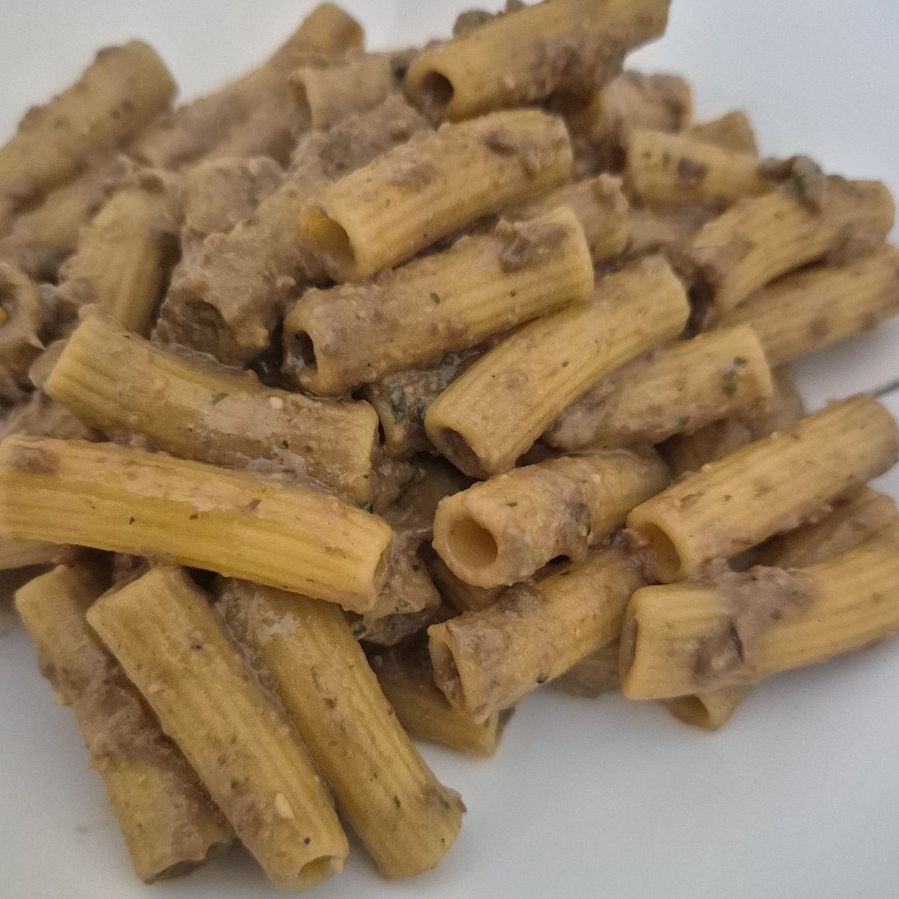 Rigatoni gluten free con Pesto di funghi Porcini