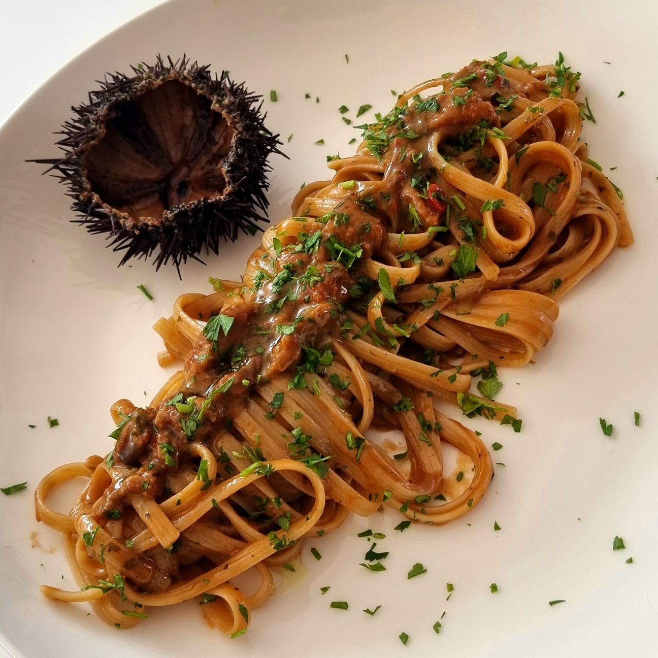 Linguine ai ricci di mare