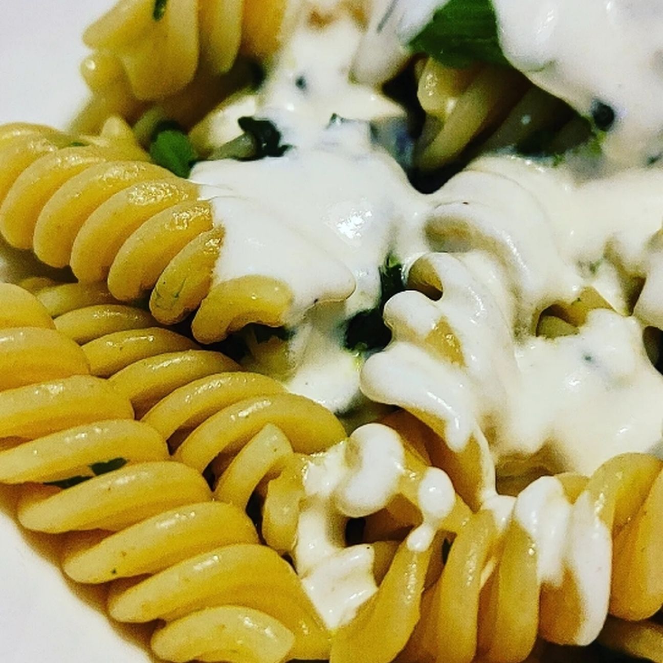 Fusilli spinaci e fonduta di ragusano
