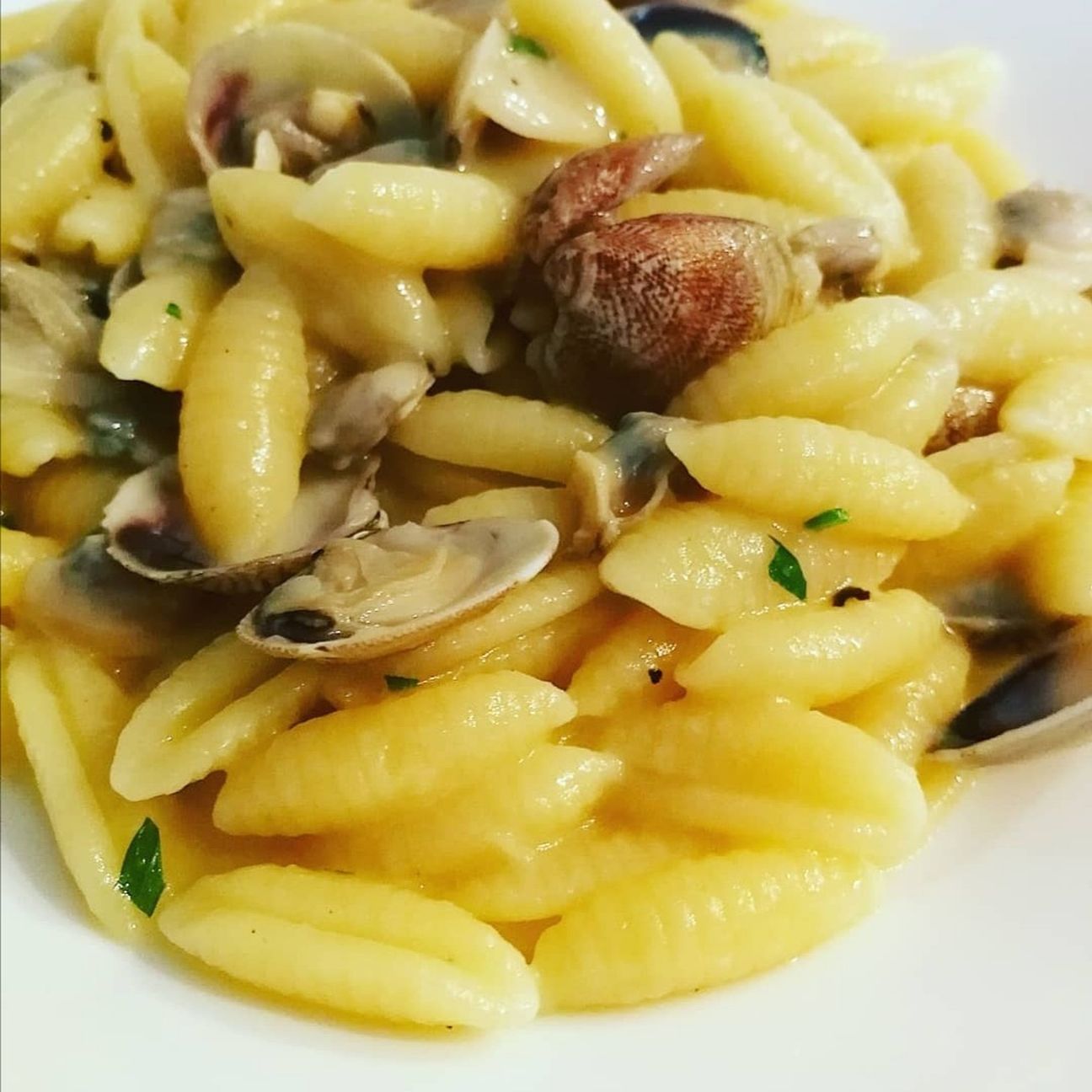 Cavati patate e vongole