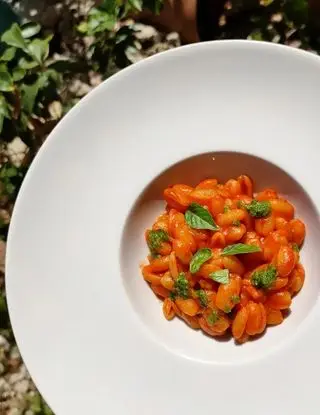 Ricetta Gnocchetti sardi al pomodoro con salsa di basilico di pamelin.leonardo