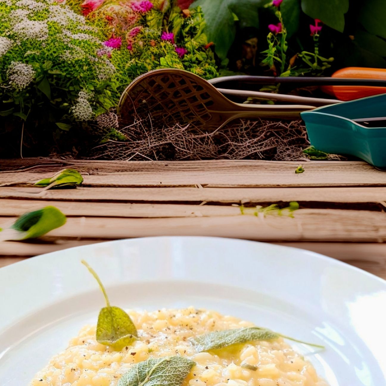 Risotto burro e salvia in brodo di pollo e purea di cipolla