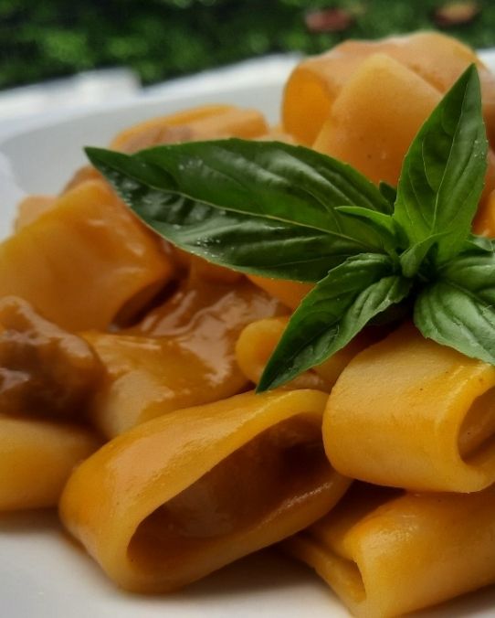 Calamarata in crema di zucca con melanzane