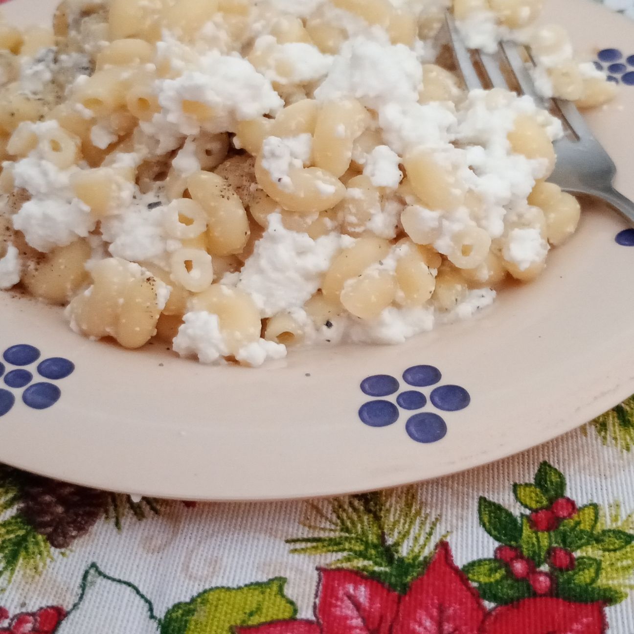 Pasta e ricotta Vaccino
