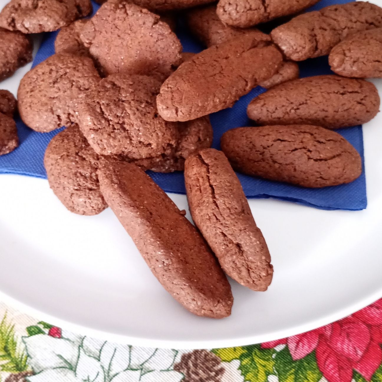 Gustosi golosi biscotti al Cacao