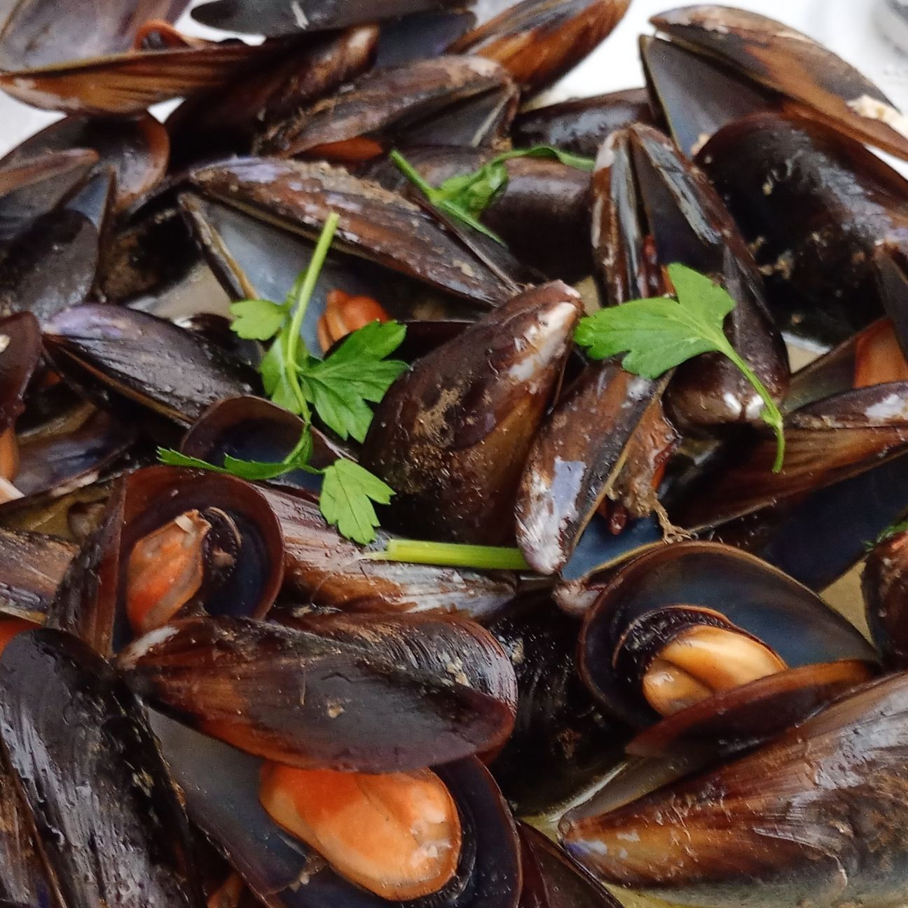 Impepata di Cozze nere Tarantine
