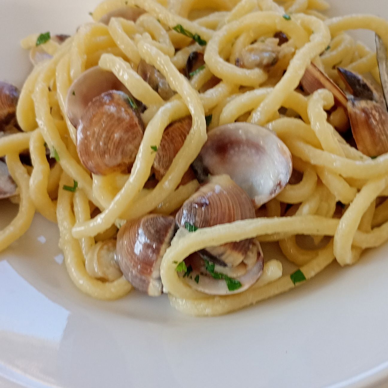 Bigoli alle Vongole in Bianco