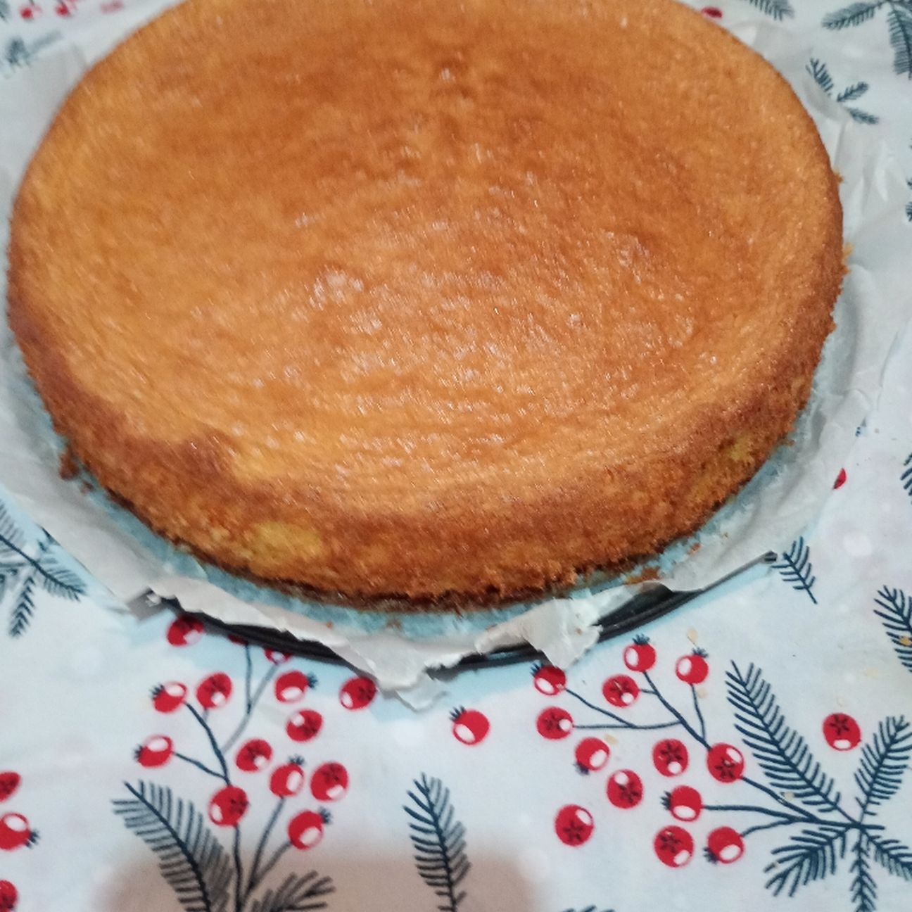 Pan di Spagna ottimo