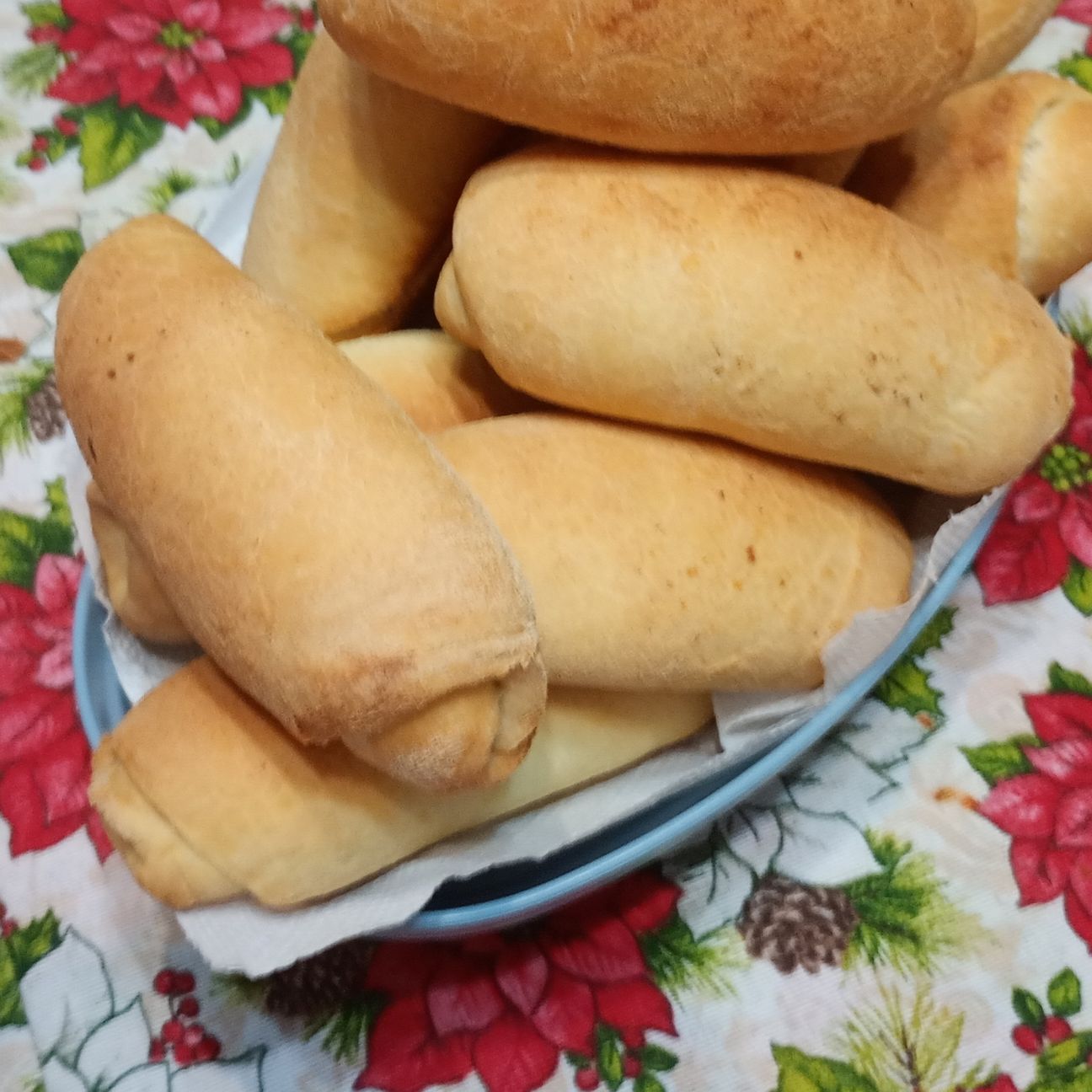 Favoloso panini