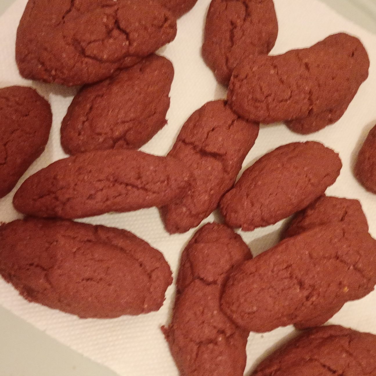 Biscotti al cacao